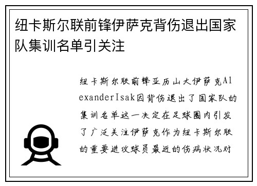 纽卡斯尔联前锋伊萨克背伤退出国家队集训名单引关注 纽卡斯尔联前锋伊萨克背伤退出国家队集训名单引关注